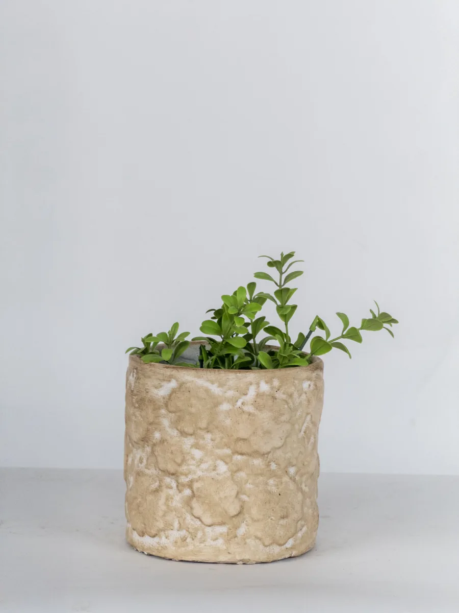 Classic Ceramic Planter — 4.5" Dia × 4.5" Height — Primary View