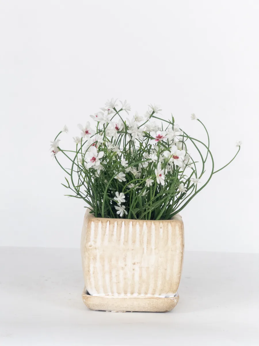 Classic Ceramic Planter — 4" Dia × 4" Height — Primary View