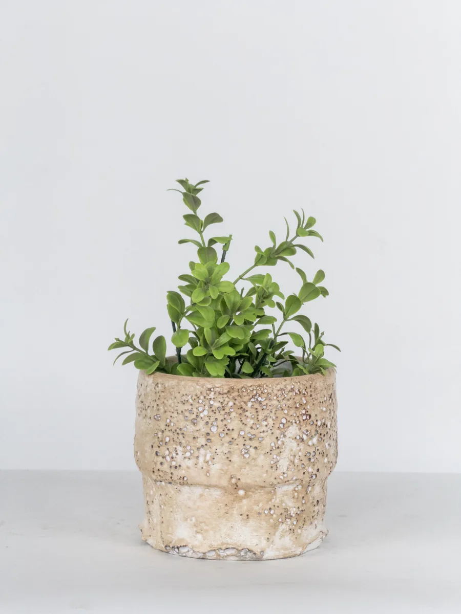 Classic Ceramic Planter — 3" Dia × 4.5" Height — Primary View
