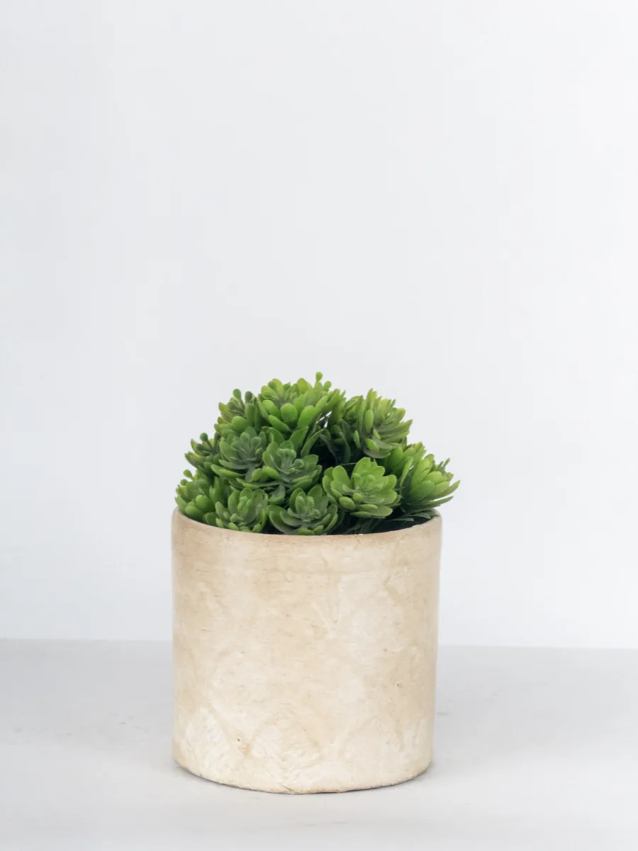 Classic Ceramic Planter — 4" Dia × 4" Height — Primary View