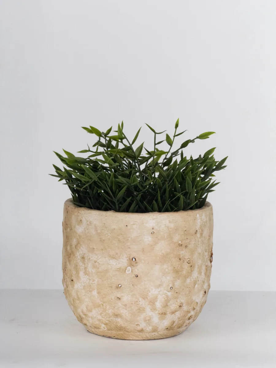 Classic Ceramic Planter — 4" Dia × 3.5" Height — Primary View