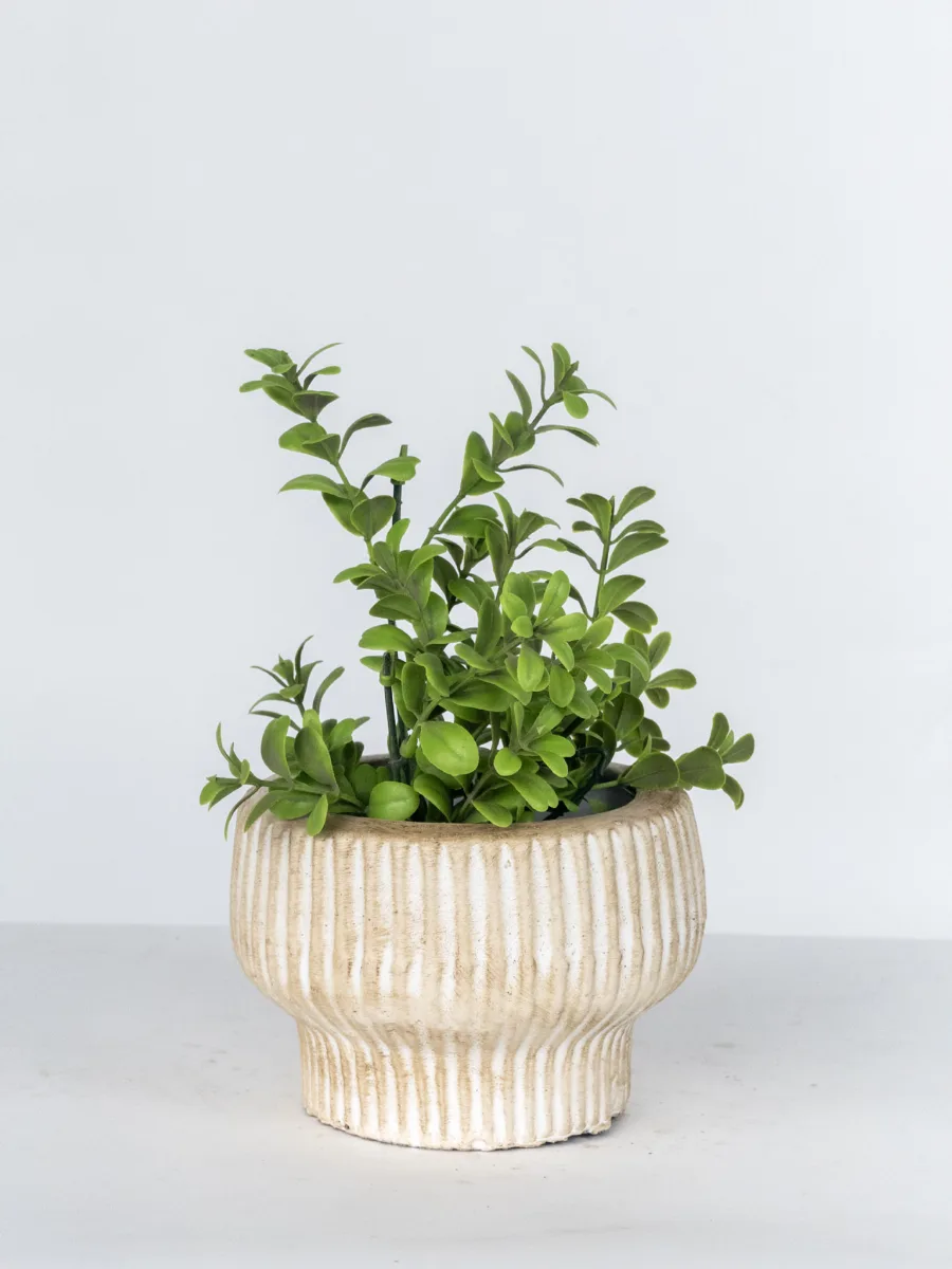Classic Ceramic Planter — 3.5" Dia × 3.5" Height — Primary View