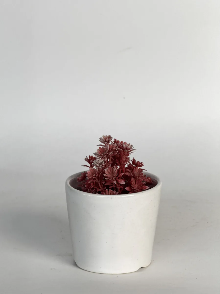 Classic Ceramic Planter — 5" Dia × 4.5" Height — Primary View