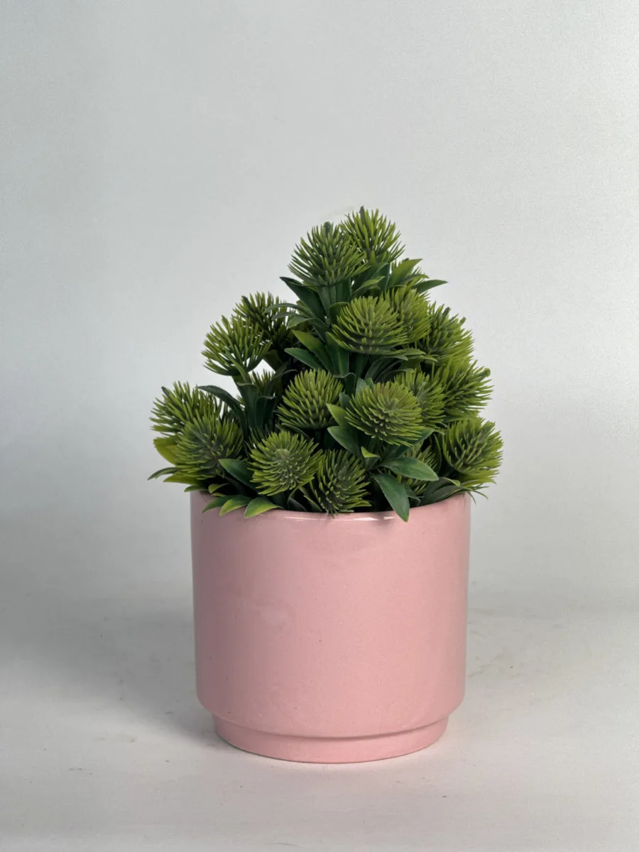 Classic Ceramic Planter — 4.5" Dia × 4" Height — Primary View