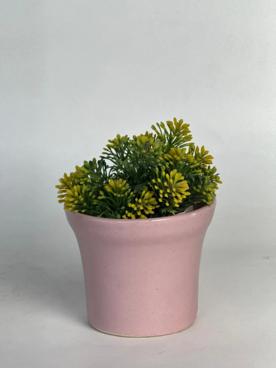 Classic Ceramic Planter — 7" Dia × 6" Height — Primary View