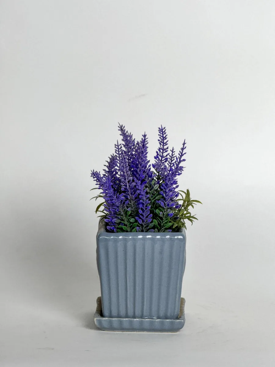 Classic Ceramic Planter — 5" Dia × 4" Height — Primary View