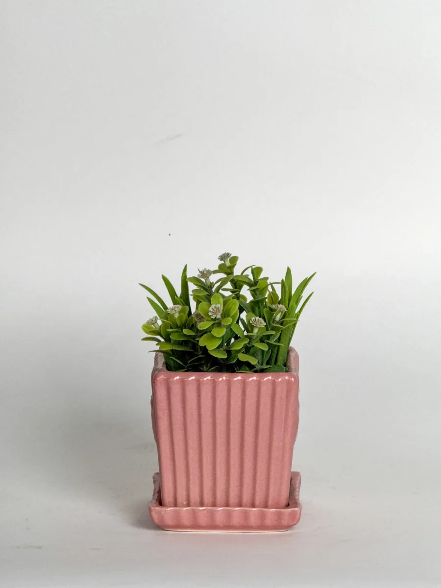 Classic Ceramic Planter — 4" Dia × 3" Height — Primary View