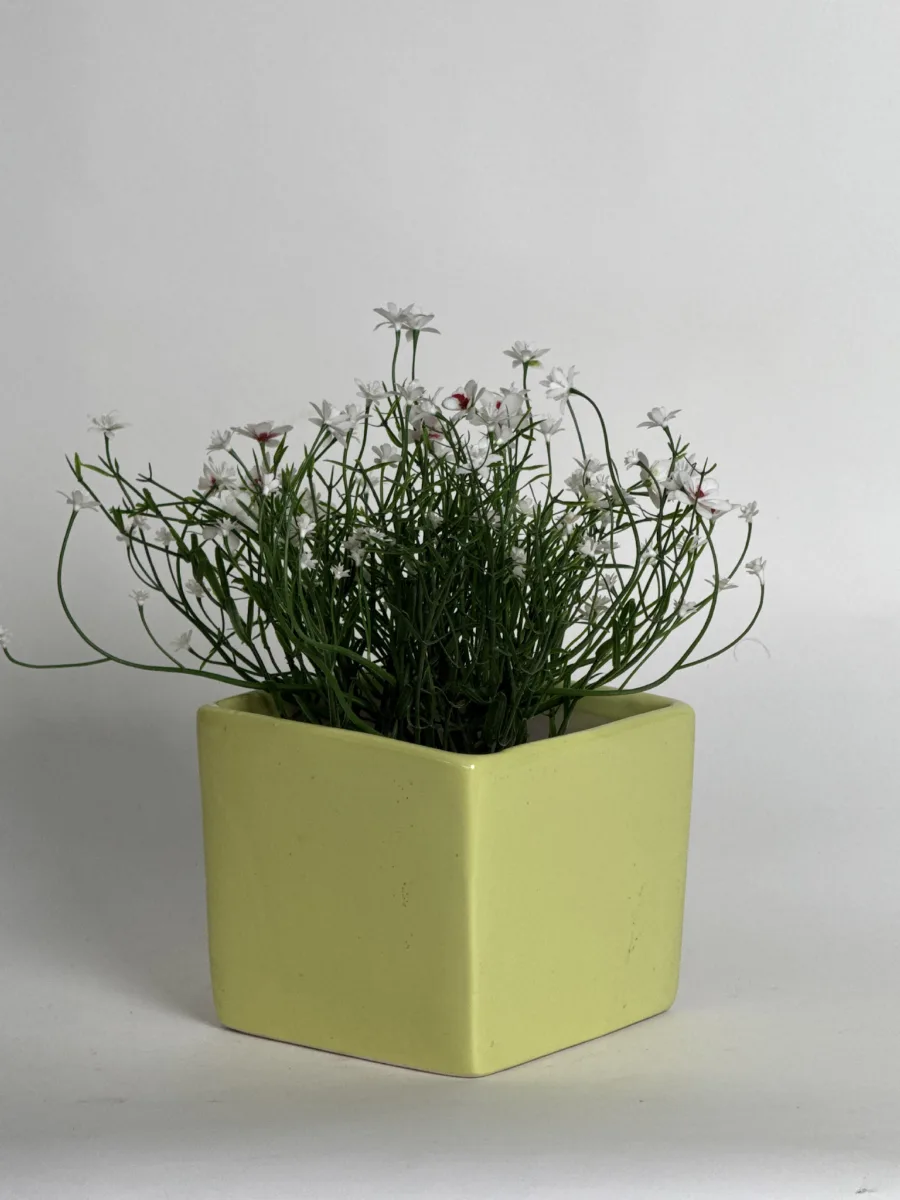 Classic Ceramic Planter — 5" Dia × 4" Height — Primary View