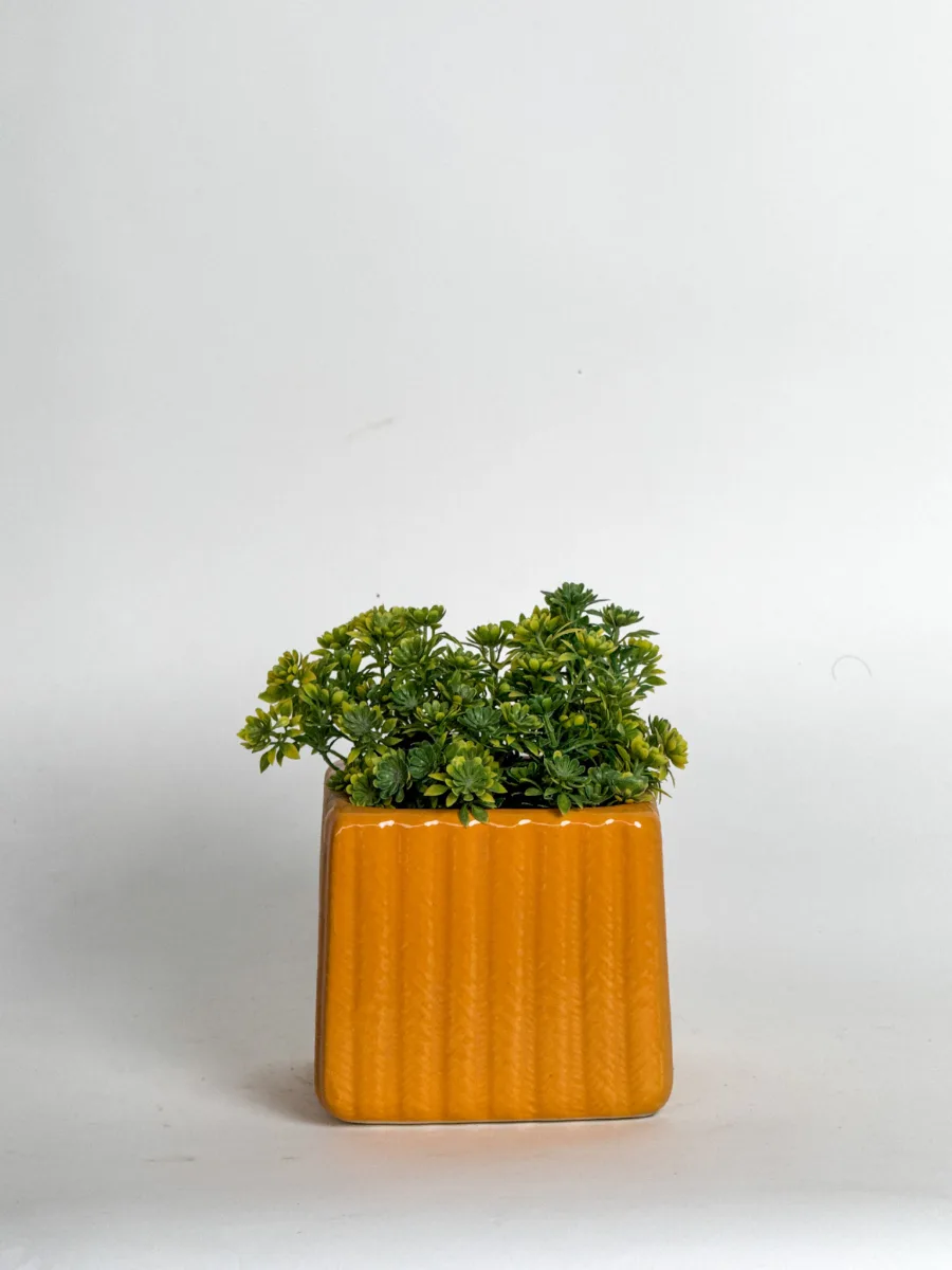 Classic Ceramic Planter — 5" Dia × 4" Height — Primary View