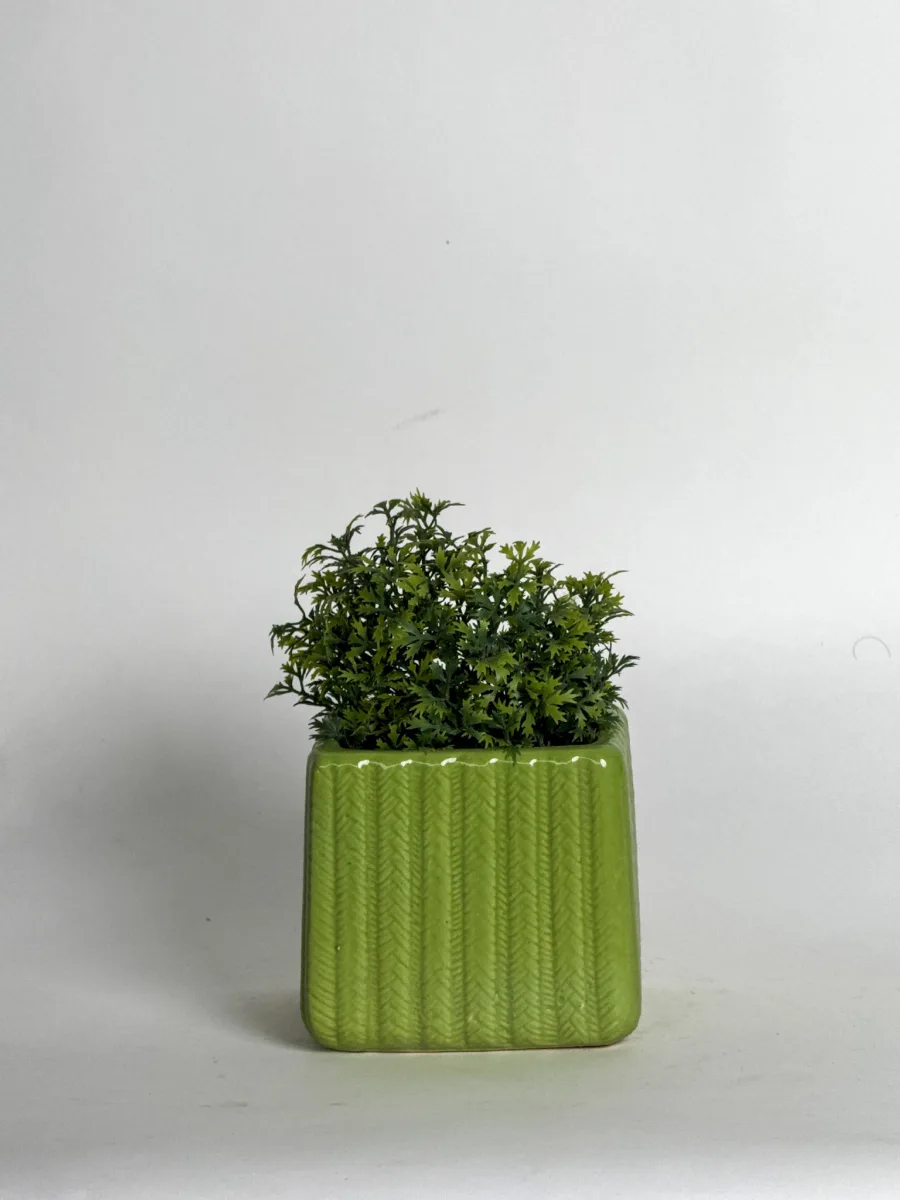 Classic Ceramic Planter — 4" Dia × 3.5" Height — Primary View