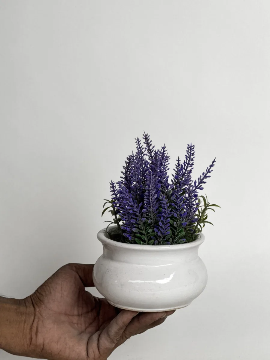 Classic Ceramic Planter — 5" Dia × 4.5" Height — Primary View
