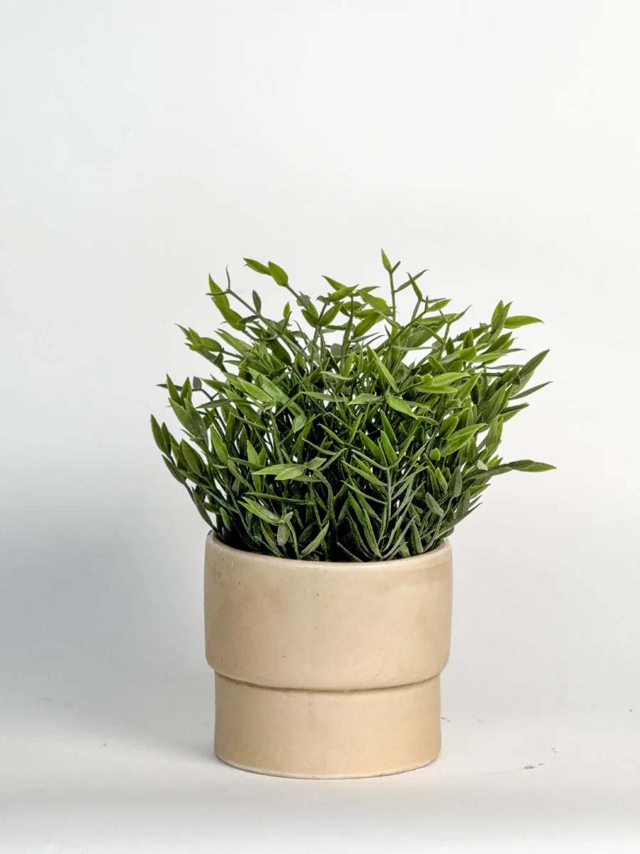 Classic Ceramic Planter — 5" Dia × 4.5" Height — Primary View