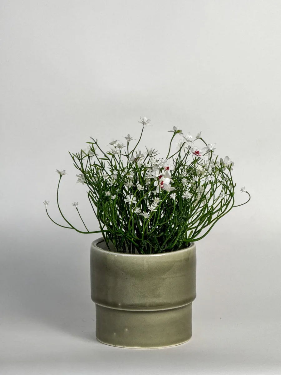 Classic Ceramic Planter — 5" Dia × 4" Height — Primary View