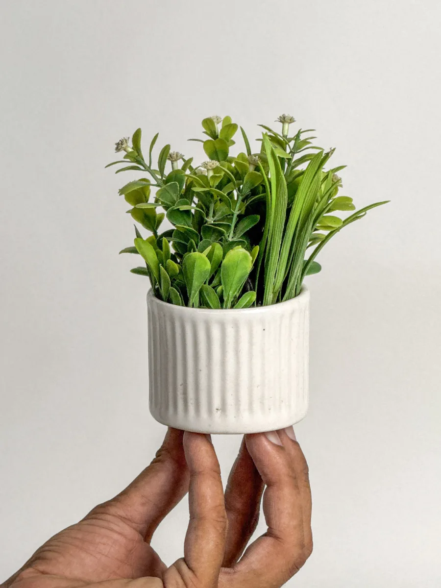 Classic Ceramic Planter — 5" Dia × 4" Height — Primary View
