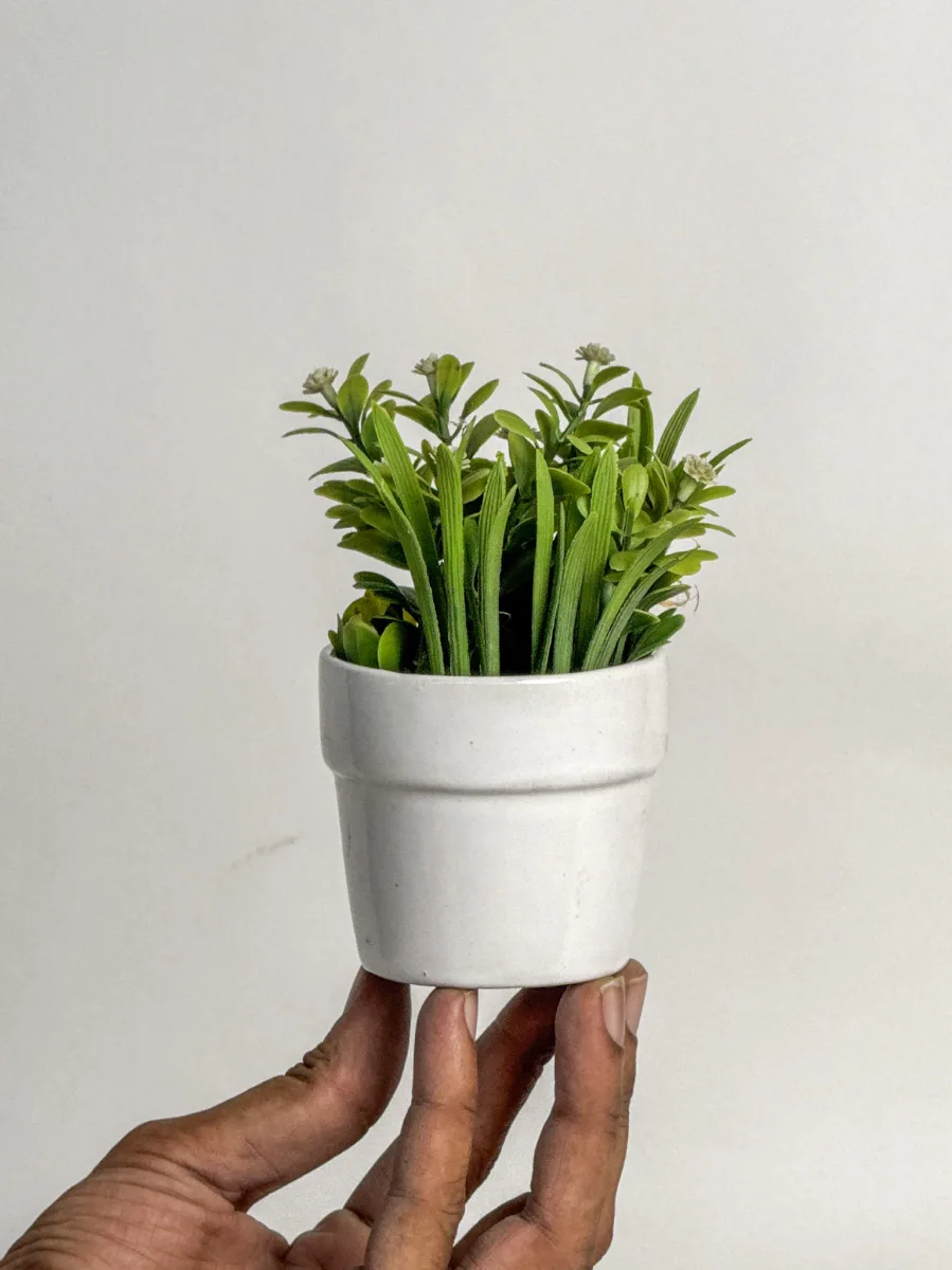 Classic Ceramic Planter — 3.5" Dia × 3" Height — Primary View