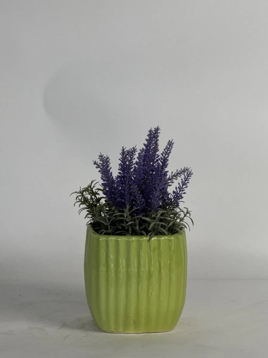 Classic Ceramic Planter — 5" Dia × 4" Height — Primary View