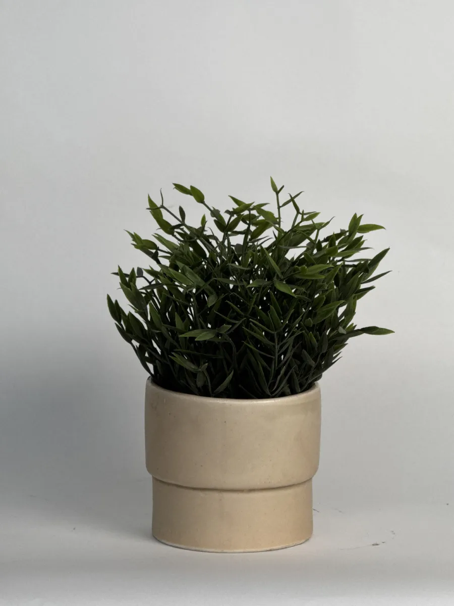 Classic Ceramic Planter — 3.5" Dia × 4" Height — Primary View