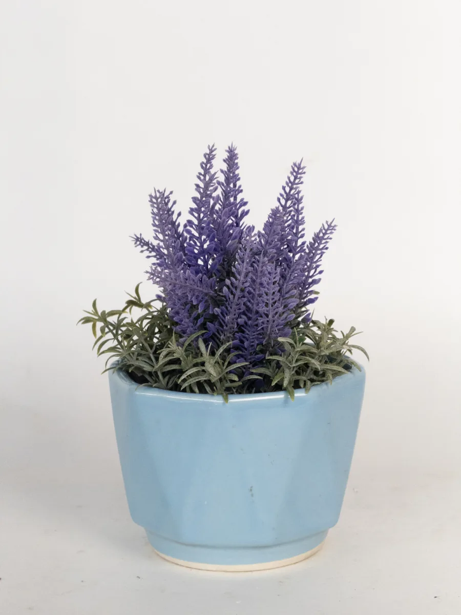Classic Ceramic Planter — 4.5" Dia × 4.5" Height — Primary View