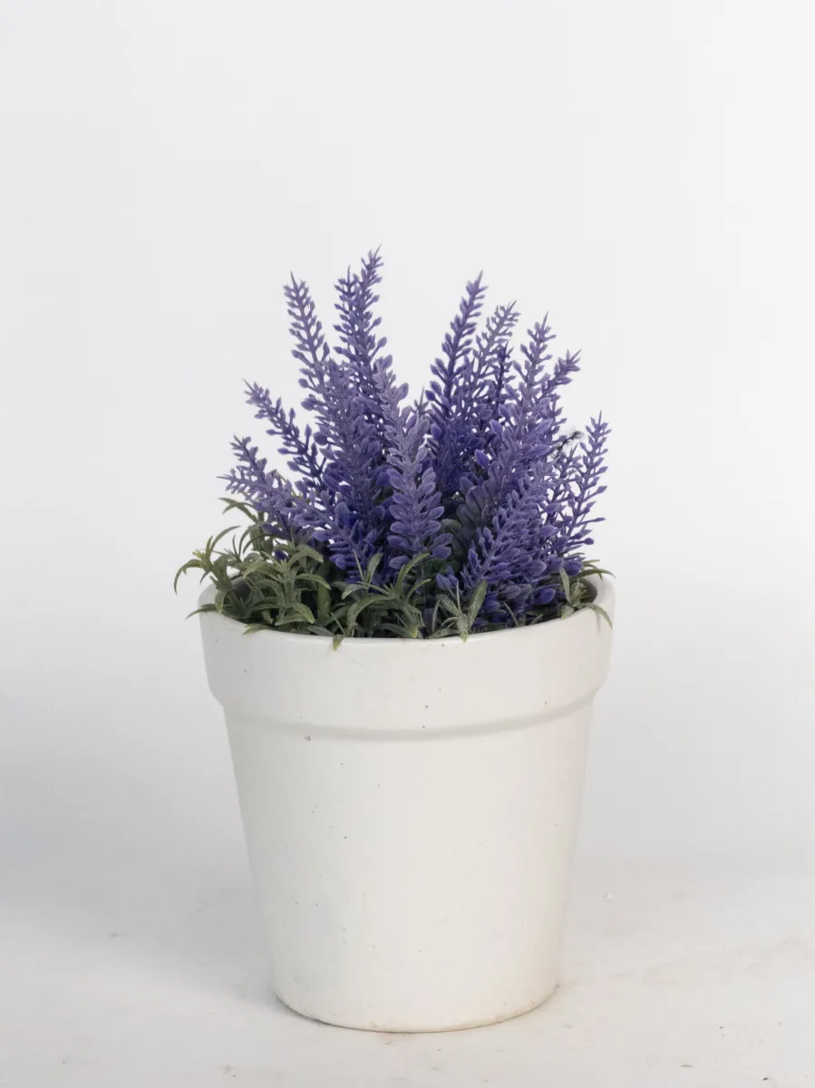 Classic Ceramic Planter — 5.5" Dia × 4.5" Height — Primary View