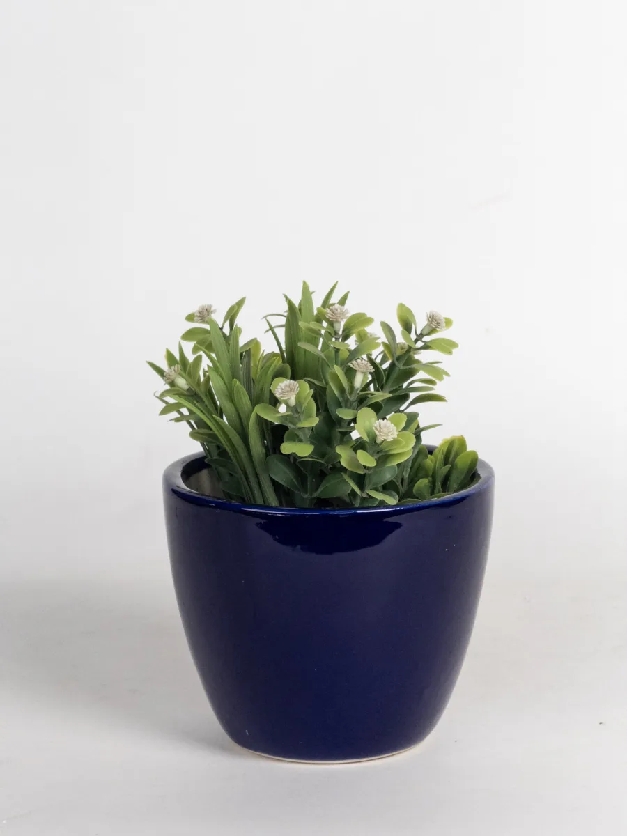 Classic Ceramic Planter — 5" Dia × 4" Height — Primary View