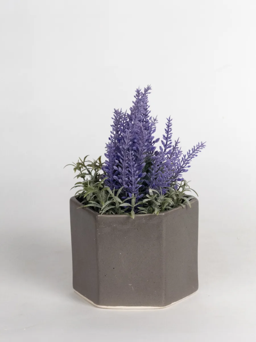 Classic Ceramic Planter — 5" Dia × 4" Height — Primary View