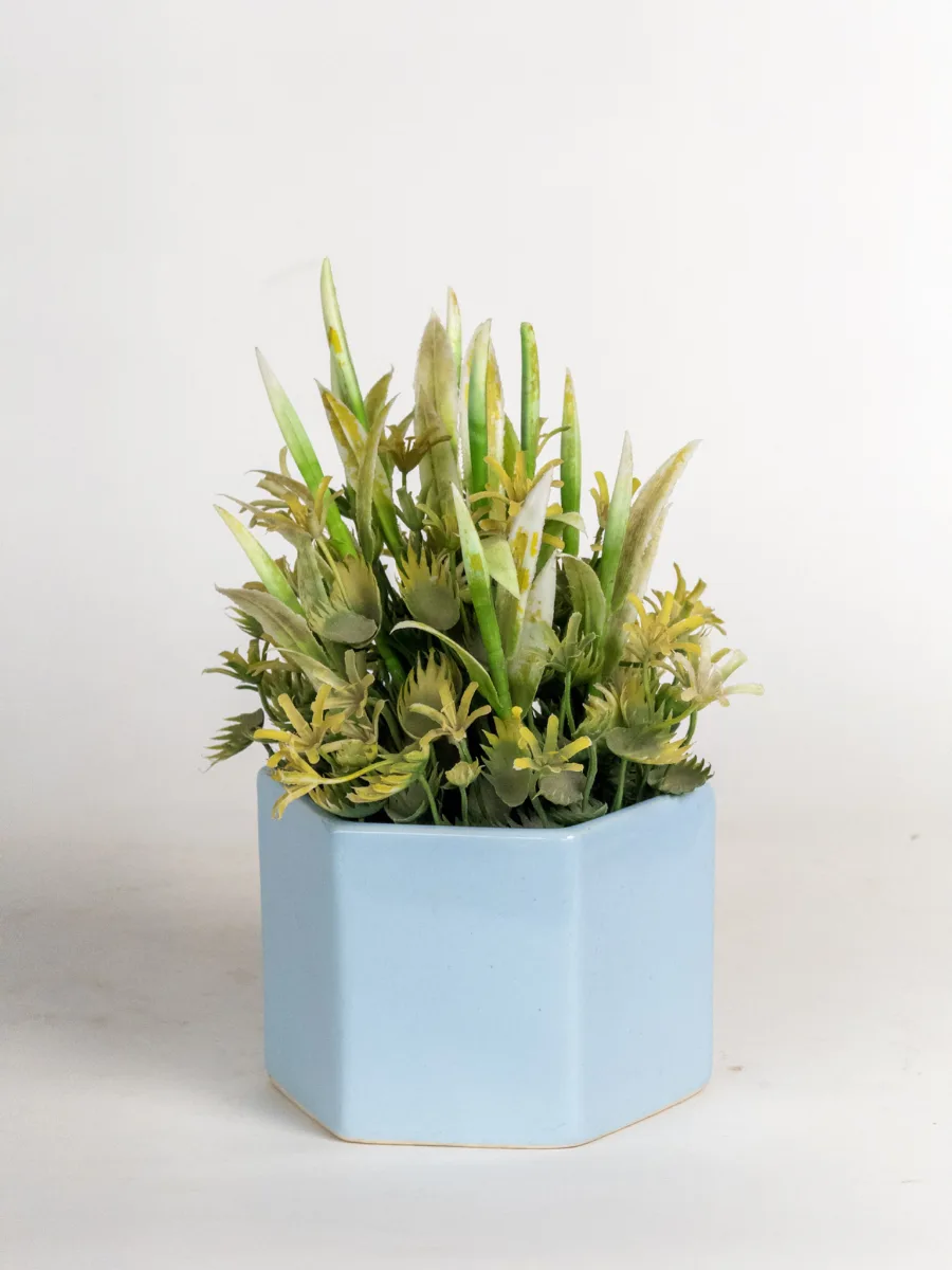 Classic Ceramic Planter — 5" Dia × 3.5" Height — Primary View