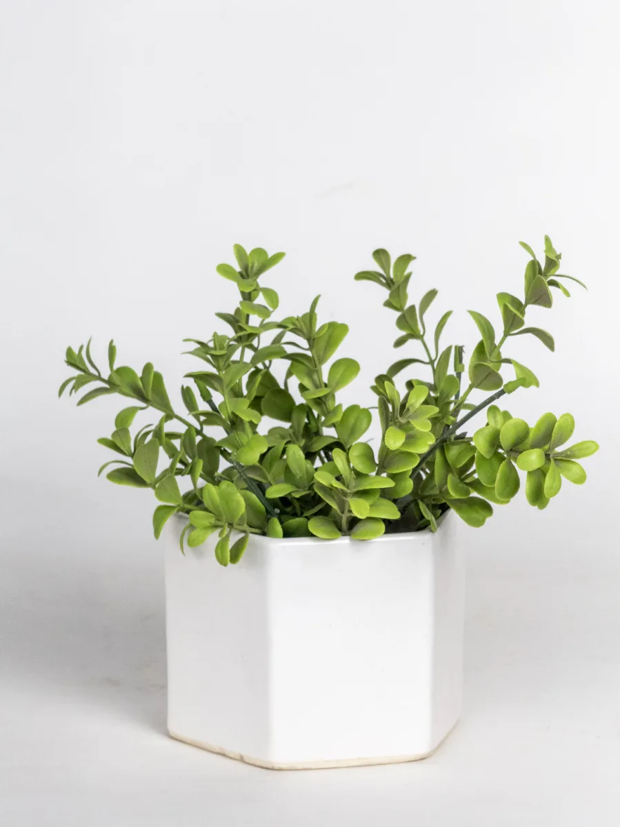 Classic Ceramic Planter — 4" Dia × 4" Height — Primary View