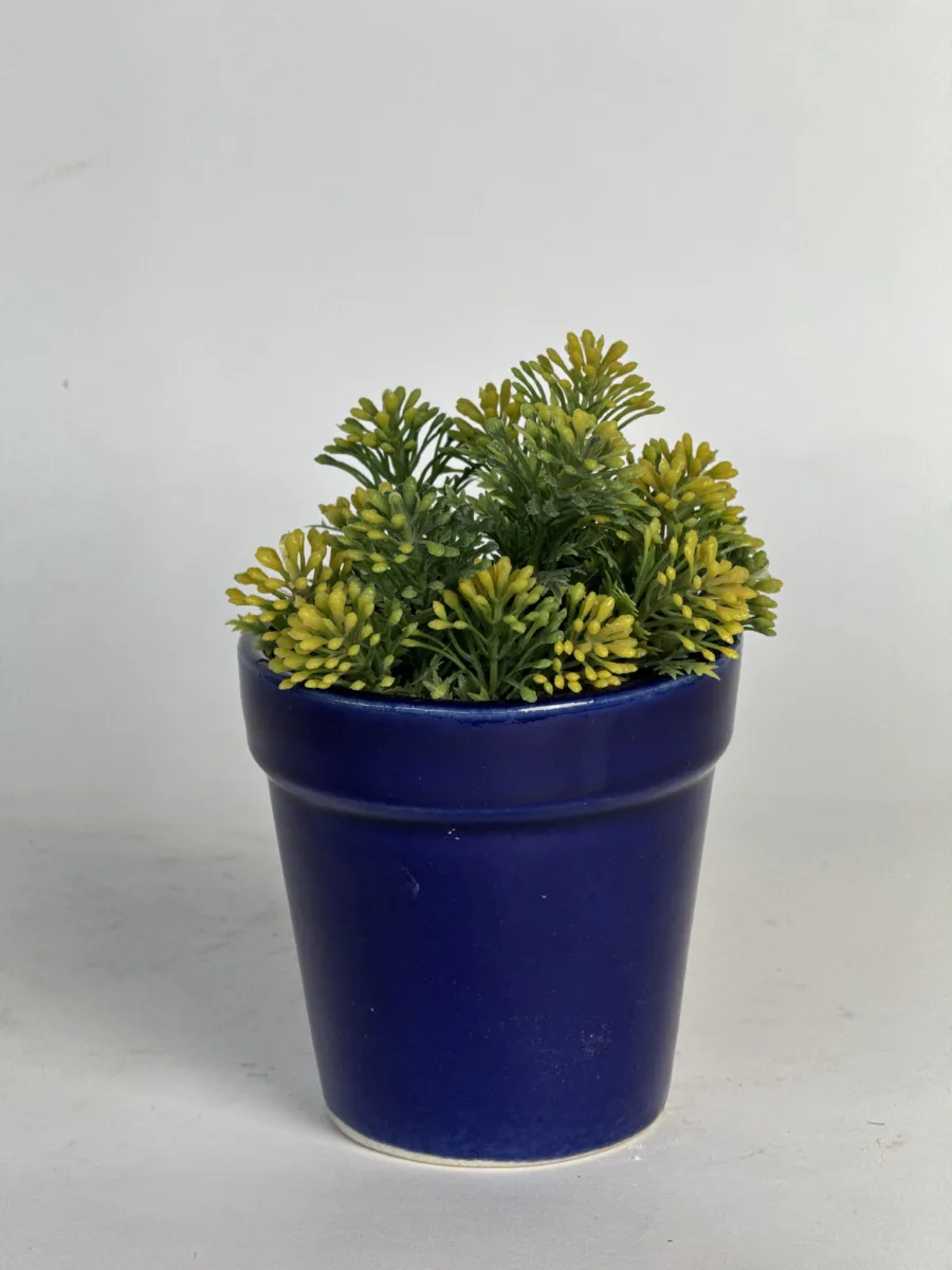 Classic Ceramic Planter — 5" Dia × 4" Height — Primary View