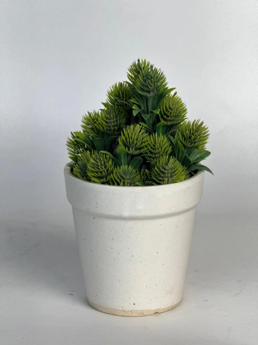 Classic Ceramic Planter — 5" Dia × 4" Height — Primary View