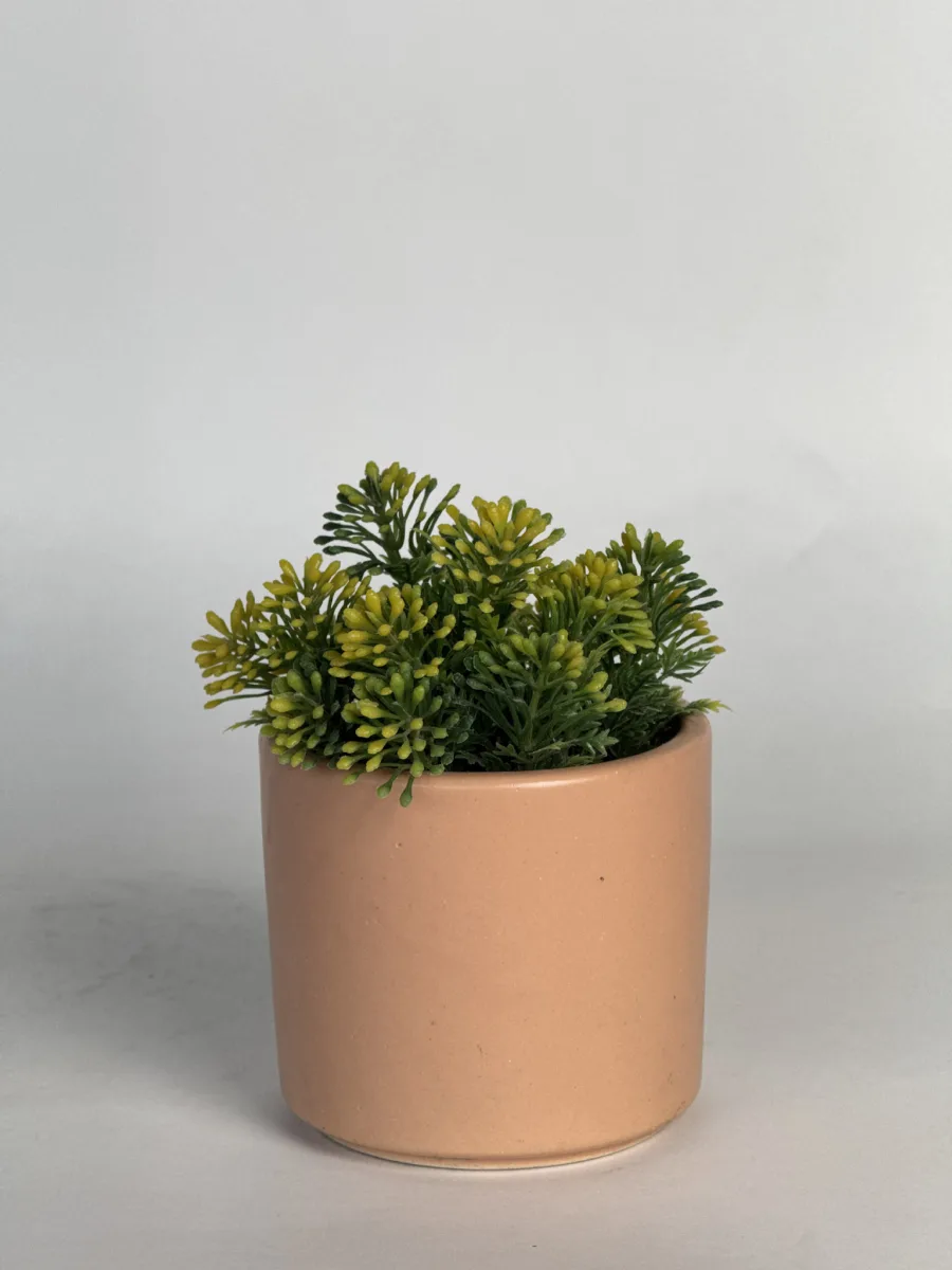 Classic Ceramic Planter — 4.5" Dia × 3" Height — Primary View