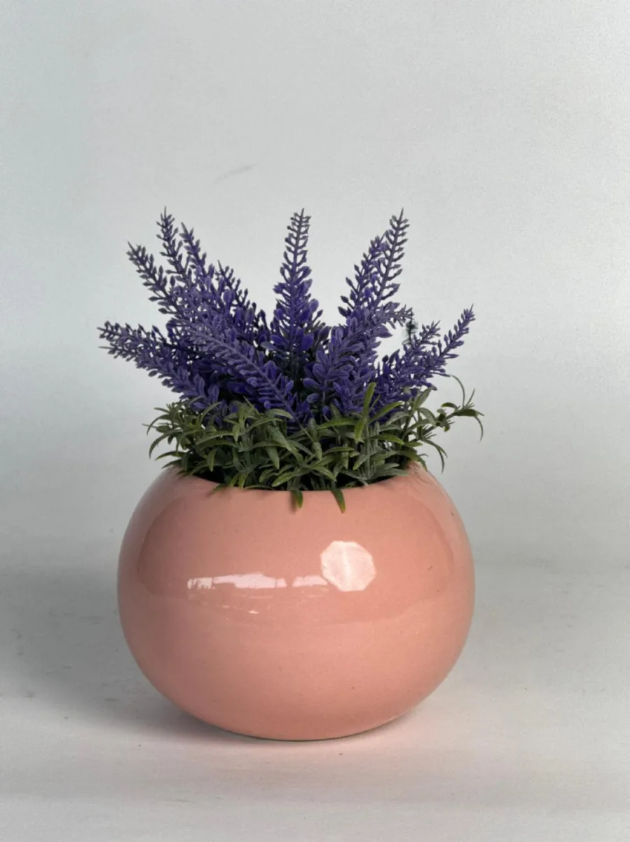 Classic Ceramic Planter — 4.5" Dia × 3" Height — Primary View