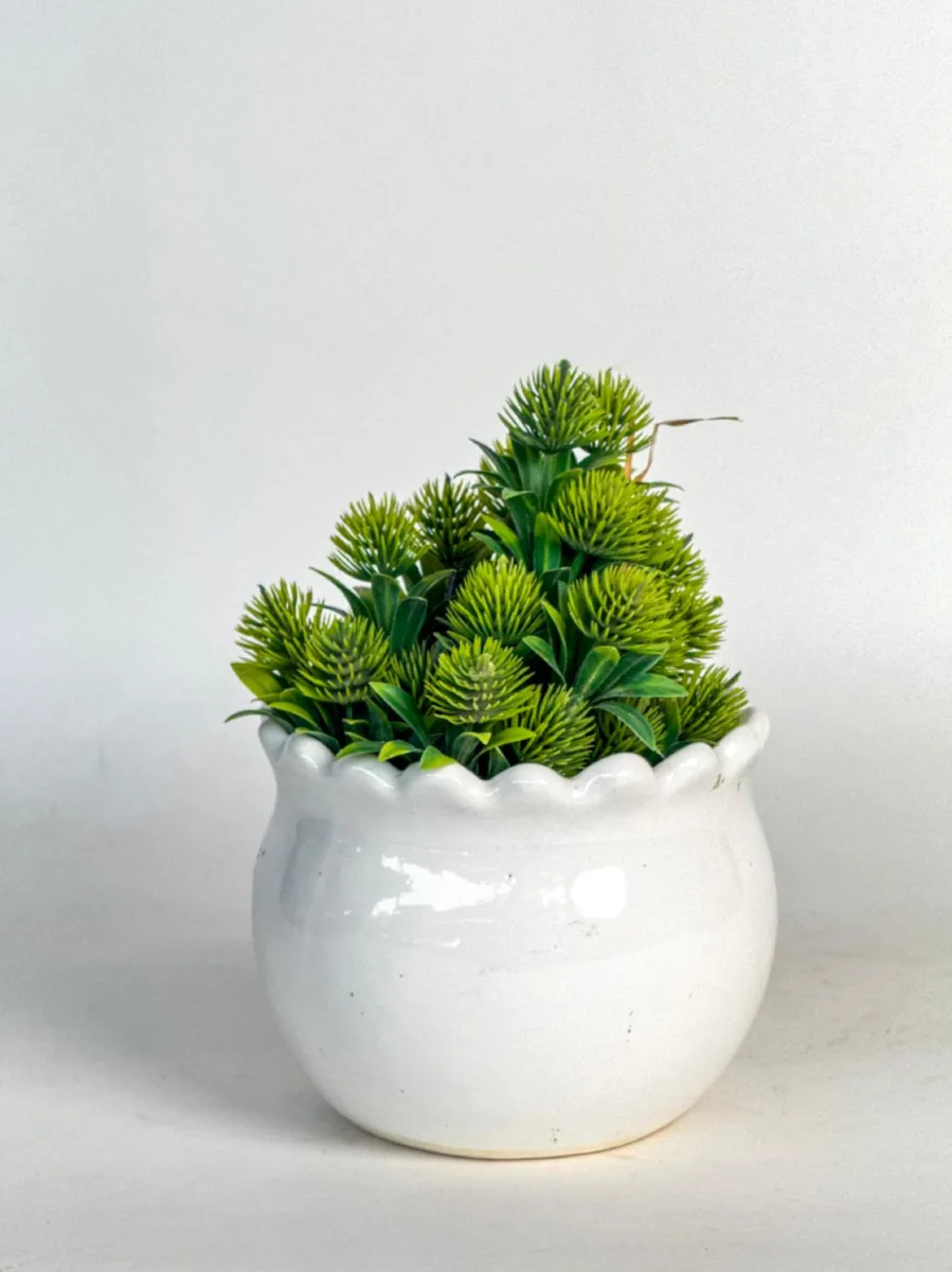 Classic Ceramic Planter — 4.5" Dia × 3" Height — Primary View