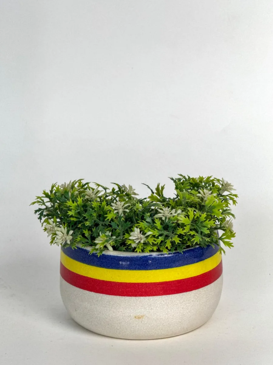 Classic Ceramic Planter — 4.5" Dia × 4" Height — Primary View