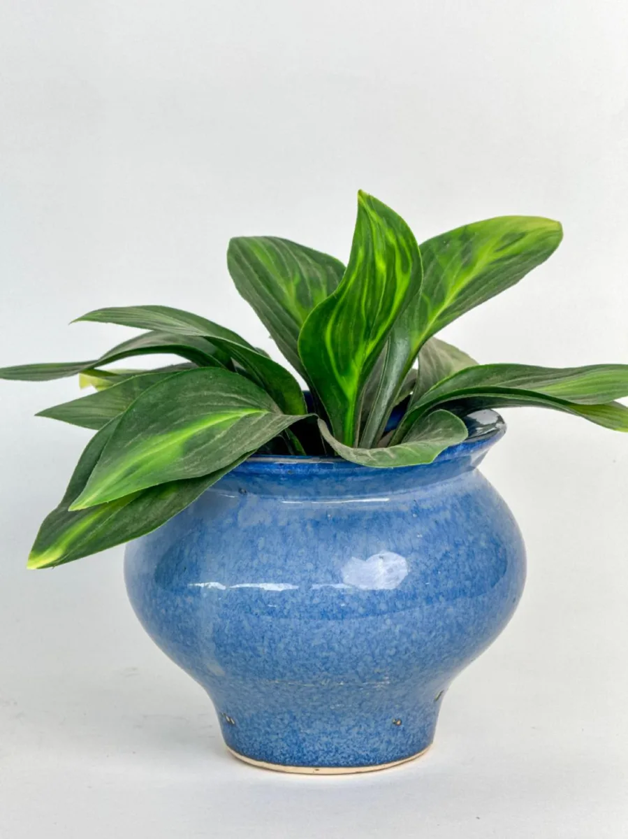 Classic Ceramic Planter — 4.5" Dia × 4" Height — Primary View