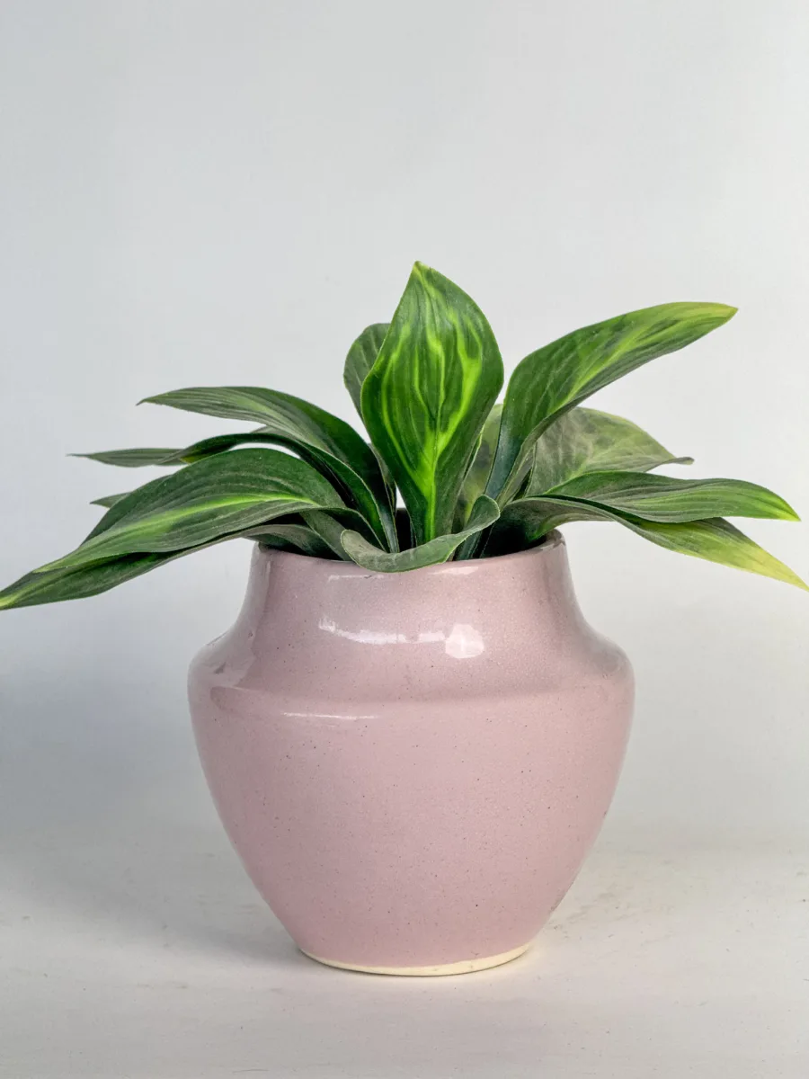 Classic Ceramic Planter — 4" Dia × 3.5" Height — Primary View