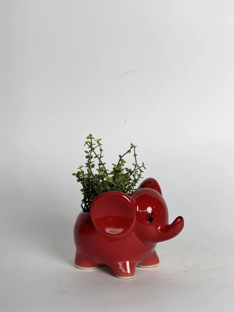 Classic Ceramic Planter — 5.5" Dia × 4" Height — Primary View