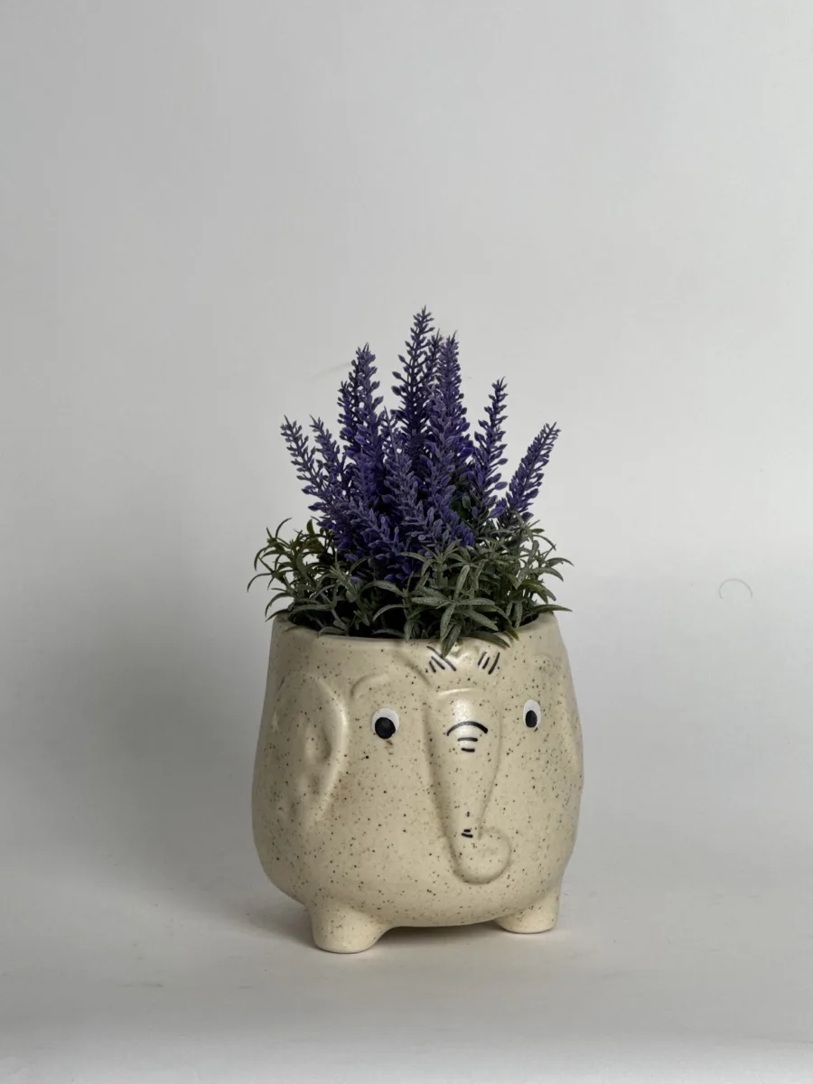 Classic Ceramic Planter — 4" Dia × 2.5" Height — Primary View