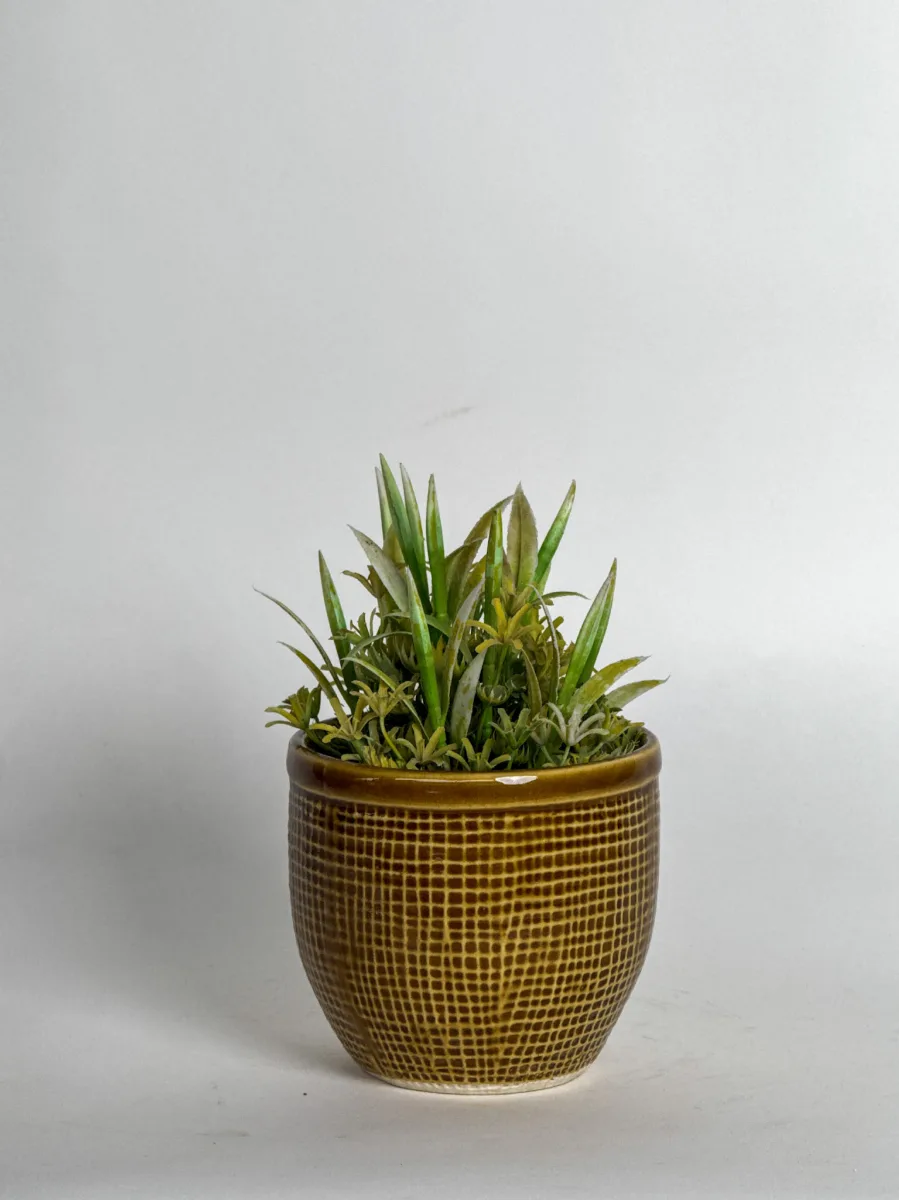 Classic Ceramic Planter — 7" Dia × 3.5" Height — Primary View