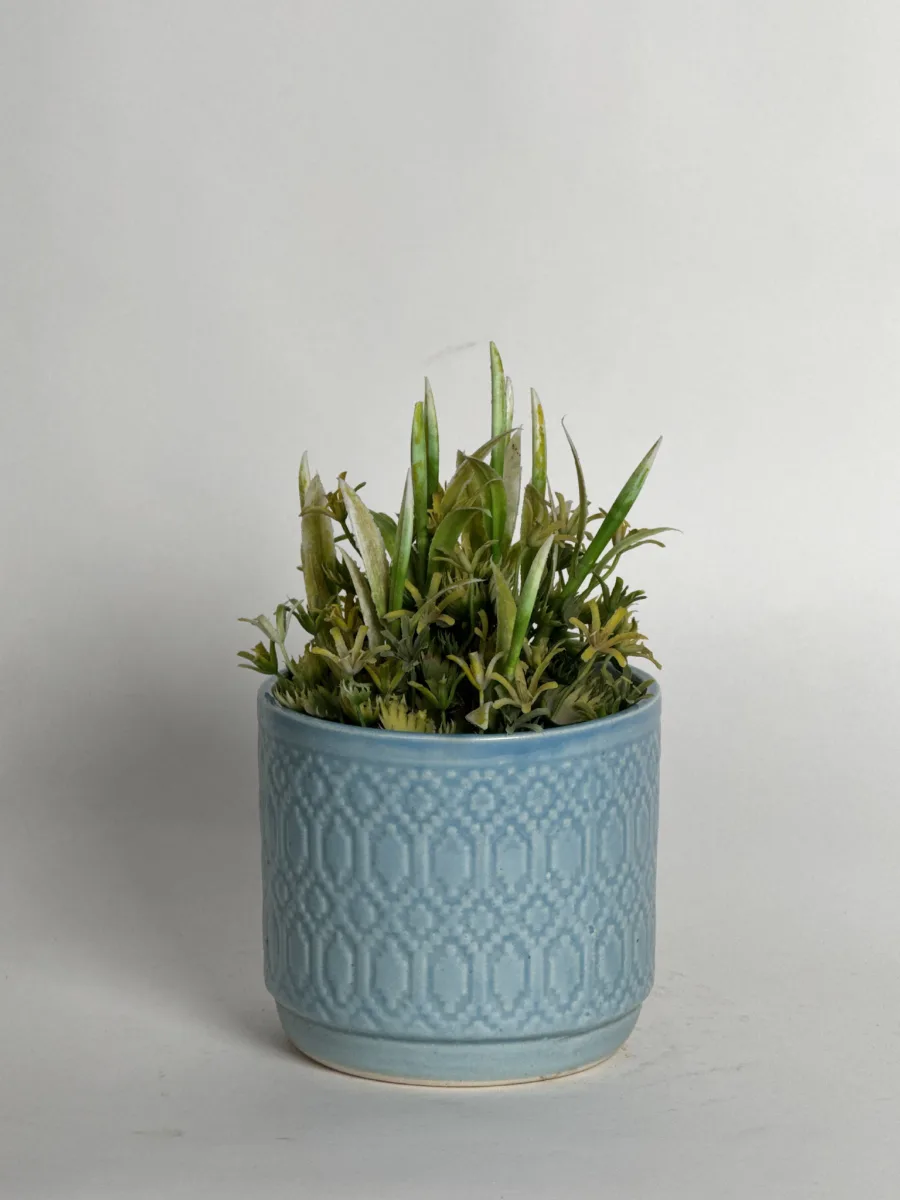 Classic Ceramic Planter — 6" Dia × 4" Height — Primary View