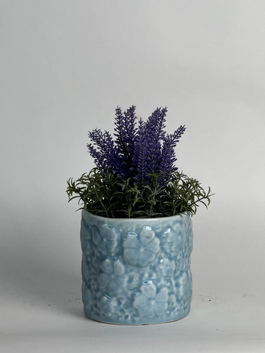 Classic Ceramic Planter — 5" Dia × 5" Height — Primary View