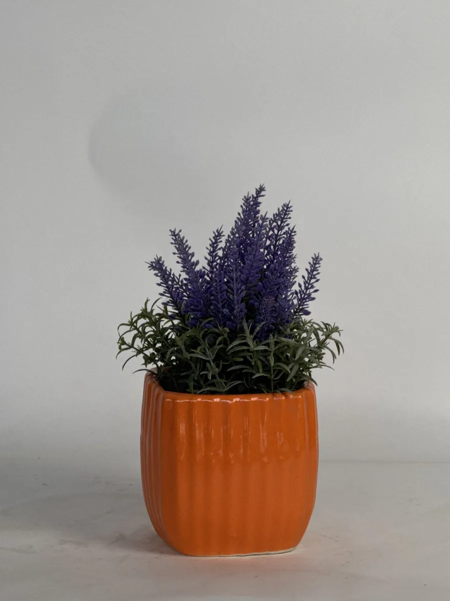 Classic Ceramic Planter — 5" Dia × 5" Height — Primary View
