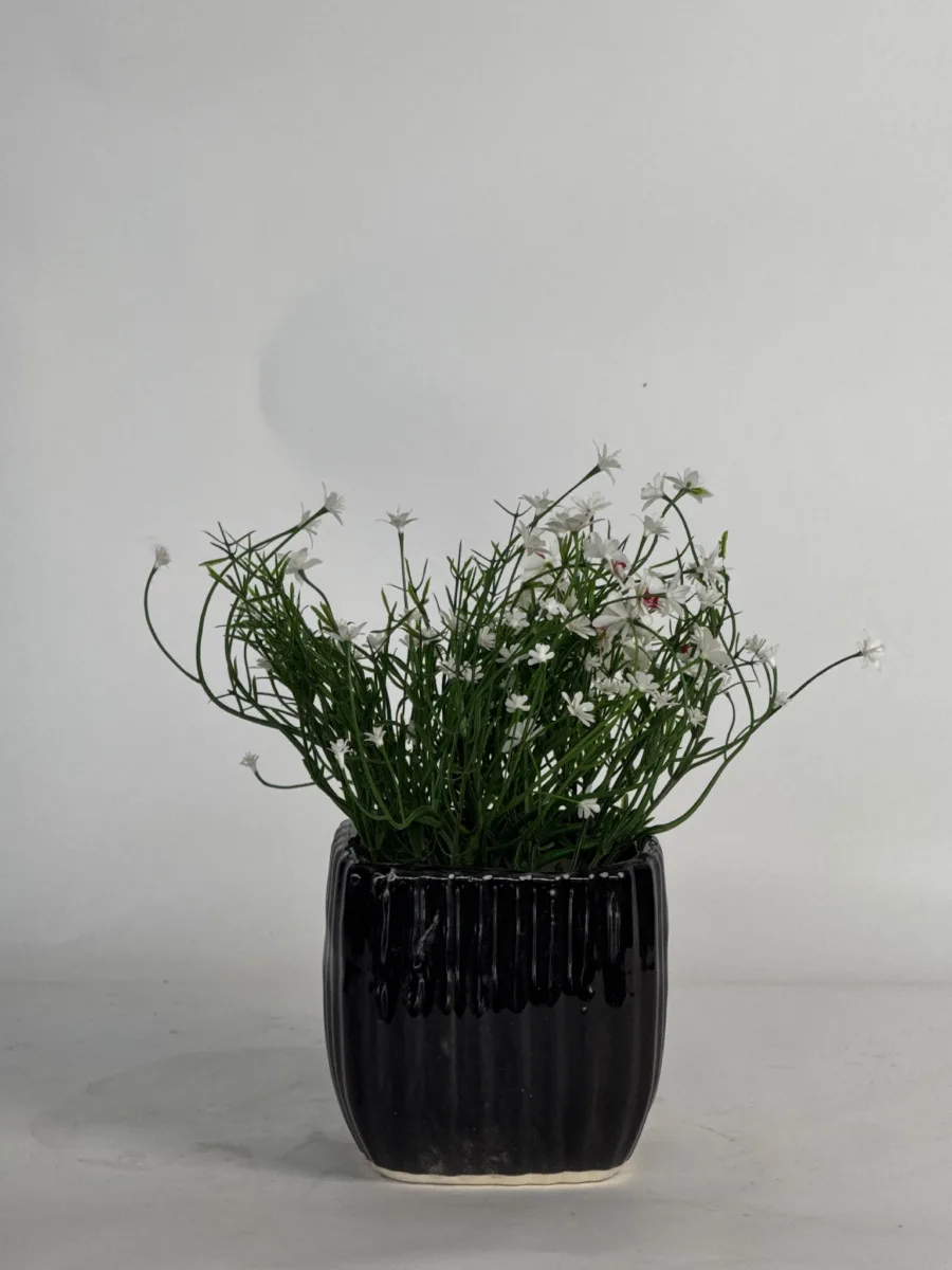 Classic Ceramic Planter — 5" Dia × 4.5" Height — Primary View