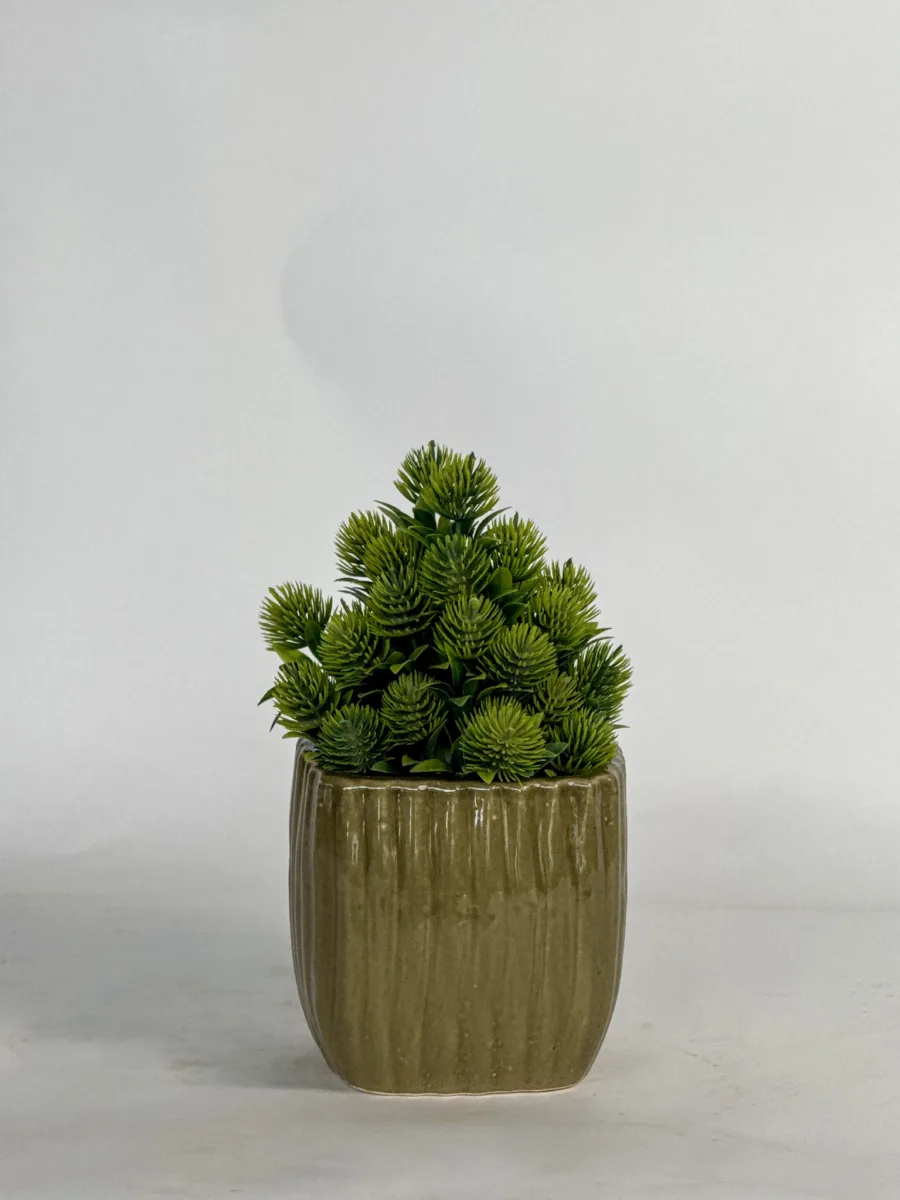 Classic Ceramic Planter — 5" Dia × 4.5" Height — Primary View