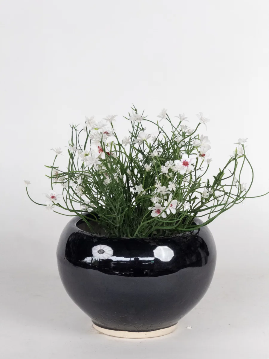 Classic Ceramic Planter — 5" Dia × 4.5" Height — Primary View