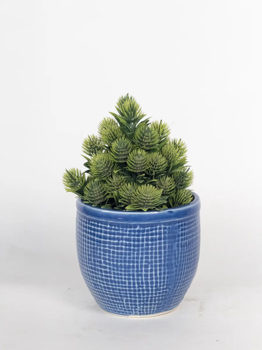 Classic Ceramic Planter — 5" Dia × 4.5" Height — Primary View