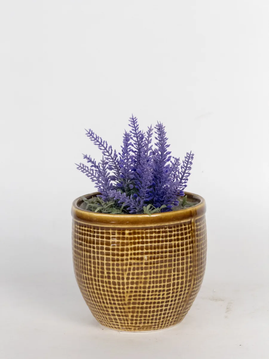 Classic Ceramic Planter — 5" Dia — Primary View