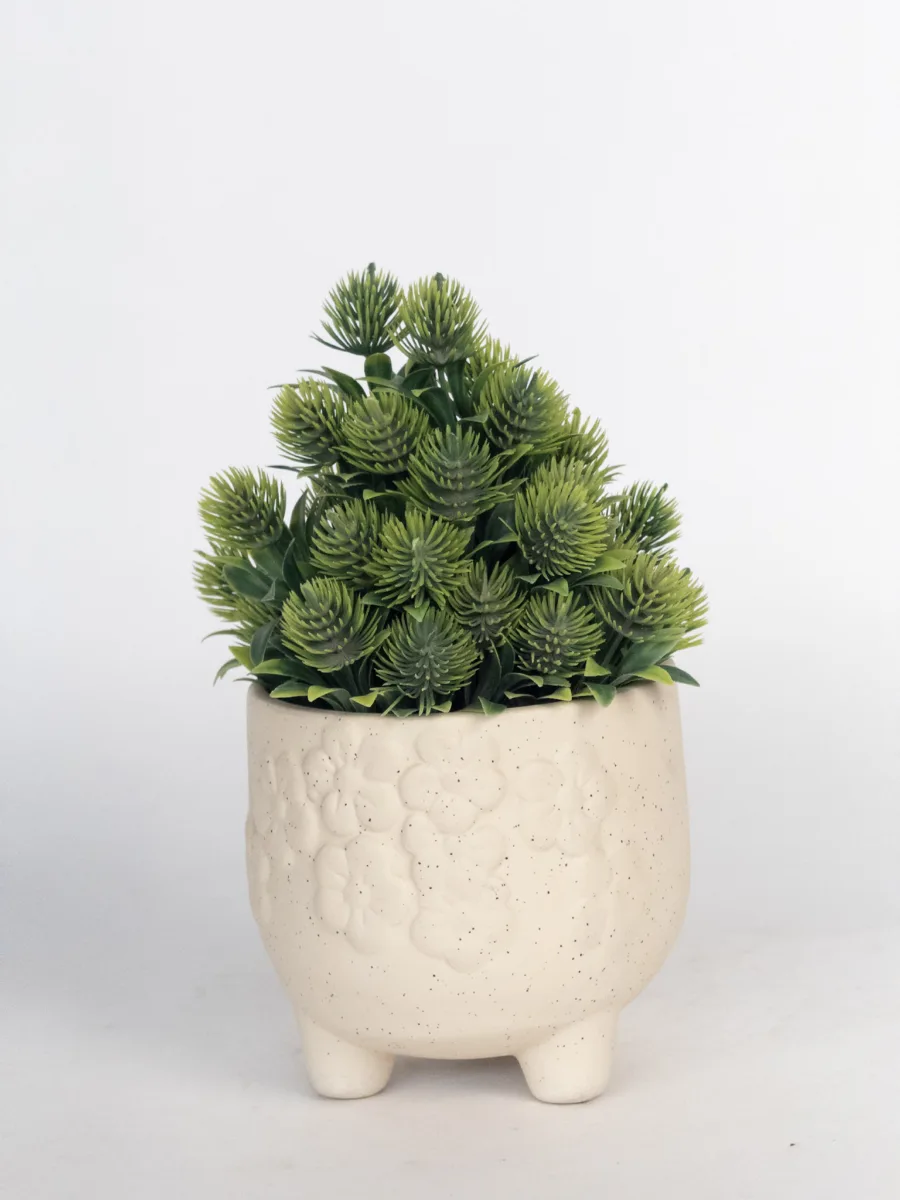 Classic Ceramic Planter — 5" Dia × 4" Height — Primary View