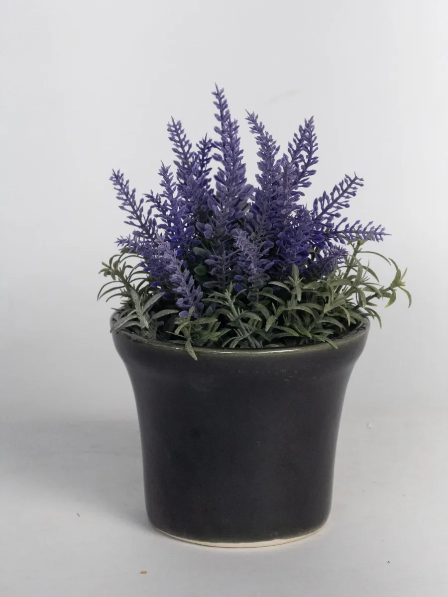 Classic Ceramic Planter — 4" Dia × 5" Height — Primary View