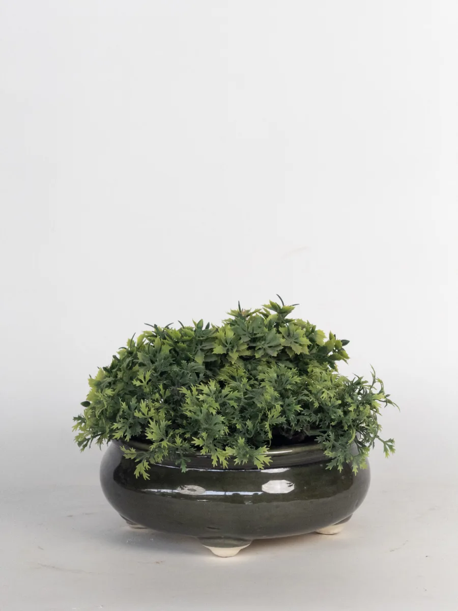 Classic Ceramic Planter — 5" Dia × 4.5" Height — Primary View