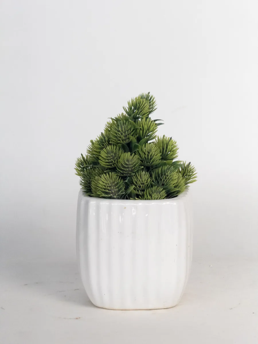 Classic Ceramic Planter — 5" Dia × 4.5" Height — Primary View